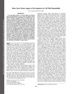 Maize Stem Tissues: Impact of Development on Cell Wall