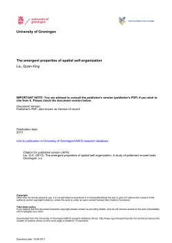 University of Groningen The emergent properties of spatial
