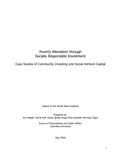 Poverty Alleviation through Socially Responsible Investment
