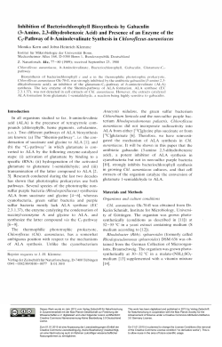 Inhibition of Bacteriochlorophyll Biosynthesis by Gabaculin (3