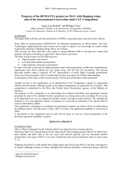 Progress of the REMANTA project on MAV with flapping wings and