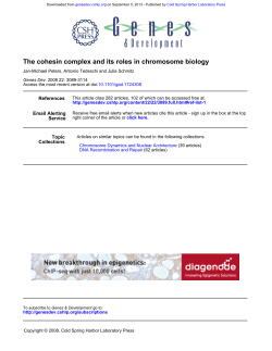 The cohesin complex and its roles in chromosome biology