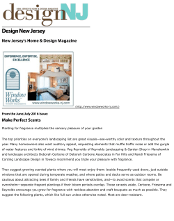 Design NJ - Reynolds Garden Shop