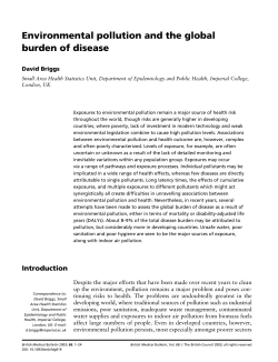 Environmental pollution and the global burden of