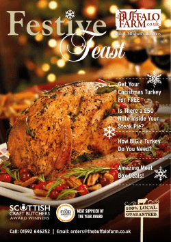 How BIG a Turkey Do You Need?