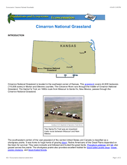 Cimarron National Grassland