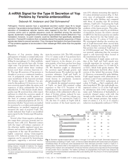 A mRNA Signal for the Type III Secretion of Yop Proteins by Yersinia