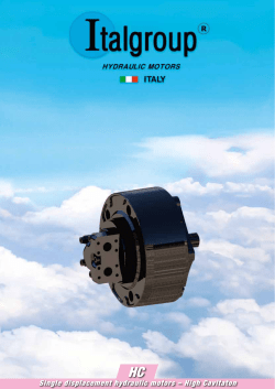 Single displacement hydraulic motors &ndash; High Cavitaton
