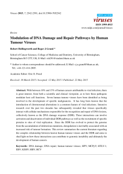 Modulation of DNA Damage and Repair Pathways by
