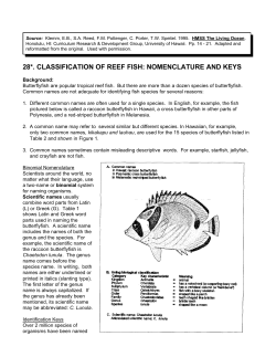 CLASSIFICATION OF REEF FISH: NOMENCLATURE AND KEYS