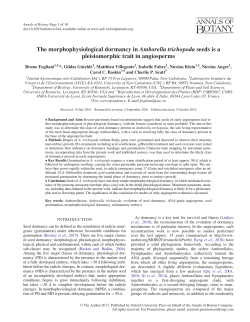 The morphophysiological dormancy in Amborella trichopoda seeds
