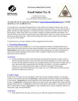 Fossil Safari - Girl Scout Council`s Own Badges