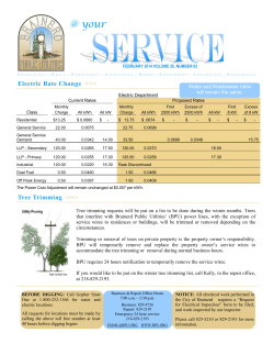02 2014 - Brainerd Public Utilities