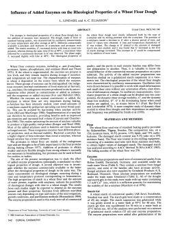 Influence of Added Enzymes on the Rheological Properties of a