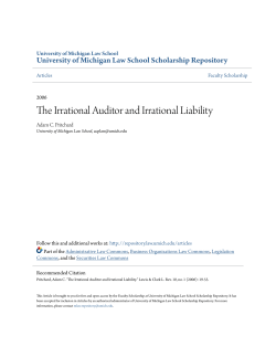 The Irrational Auditor and Irrational Liability