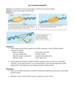 Lab: Transcription-Making RNA Objectives: To model the process of