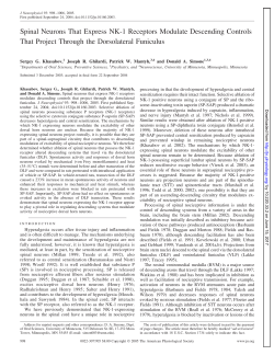 Spinal Neurons That Express NK