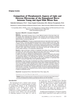 Comparison of Morphometric Aspects of Light and Electron