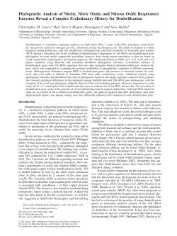 Full Text  - Molecular Biology and Evolution