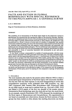 Facts and fiction in floral morphology with