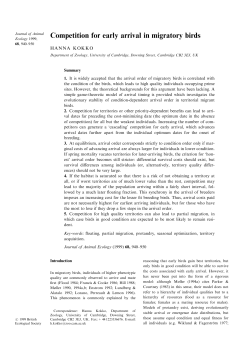 Competition for early arrival in migratory birds