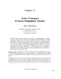 Active Transport in Insect Malpighian Tubules