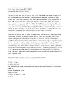 Docent Packet for Matt Hoyt: Recent Past, 2010