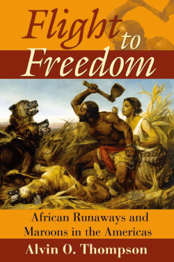 Flight to Freedom: African Runaways And Maroons in the Americas