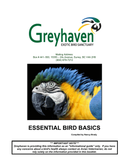 Proposal Content - Greyhaven Exotic Bird Sanctuary