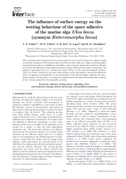 The influence of surface energy on the wetting