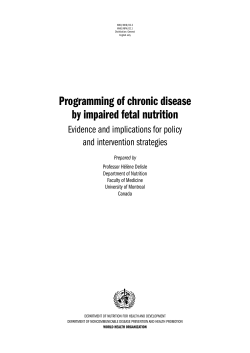 Fetal programming of chronic diseases