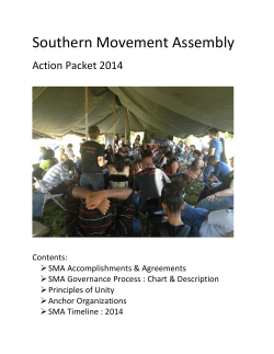 Southern Movement Assembly