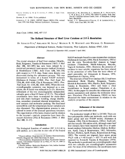 The Refined Structure of Beef Liver Catalase at 2