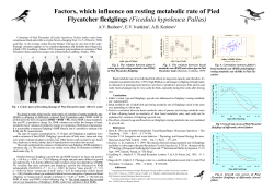 Factors, which influence on resting metabolic rate of Pied Flycatcher