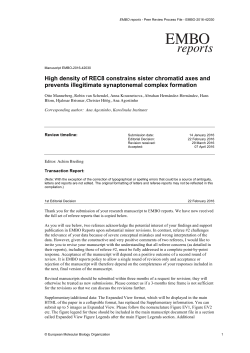 High density of REC8 constrains sister chromatid axes and prevents