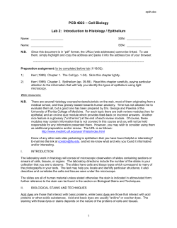 PCB 4023 &ndash; Cell Biology Lab 2: Introduction to Histology / Epithelium