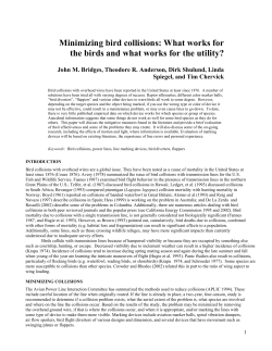 Minimizing bird collisions: What works for the birds and what works