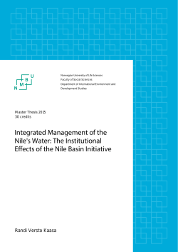 Integrated Management of the Nile`s Water: The Institutional Effects