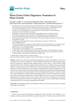 Short-Chain Chitin Oligomers: Promoters of Plant Growth