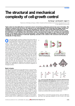 The structural and mechanical complexity of cell
