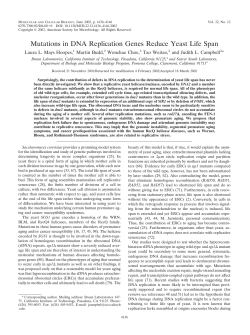 Mutations in DNA Replication Genes Reduce Yeast Life Span