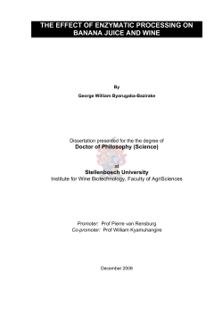 The effect of enzymatic processing on banana juice and wine
