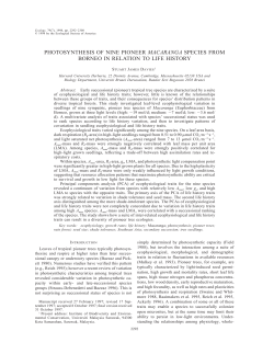 photosynthesis of nine pioneer macaranga species from borneo in