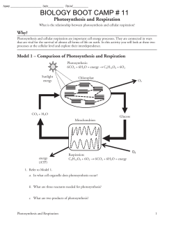 14 Photosynthesis and Respiration-S-11