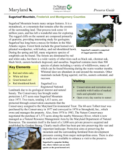 Sugarloaf Mountain - The Nature Conservancy