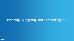 Planning, Budgeting and Forecasting 101