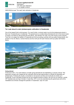 Ter Laak about to start phalaenopsis cultivation in Guatemala