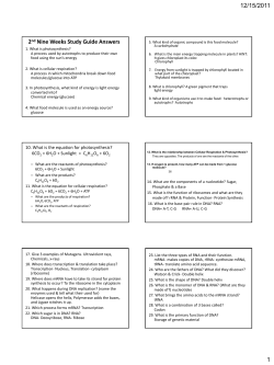 2nd Nine Weeks Study Guide Answers
