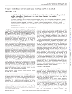 Glucose stimulates calcium-activated chloride secretion - AJP-Cell