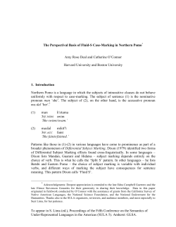 The perspectival basis of fluid-S case
